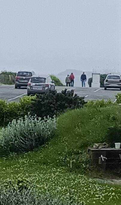 Apartament Face A La Mer Saint-Cast-le-Guildo Zewnętrze zdjęcie